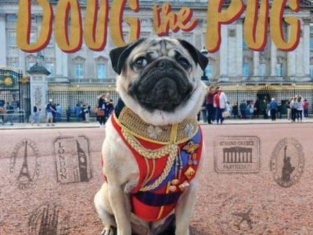 Doug the Pug 2025 12 X 12 Wall Calendar Hot on Sale